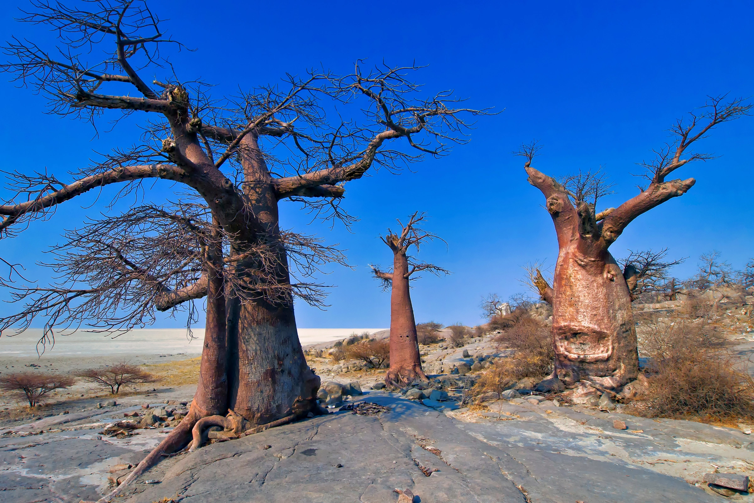 Makgadikgadi_Pans_National_Park[1].webp
